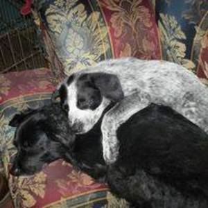 Meet your Posher, Mary jeanne